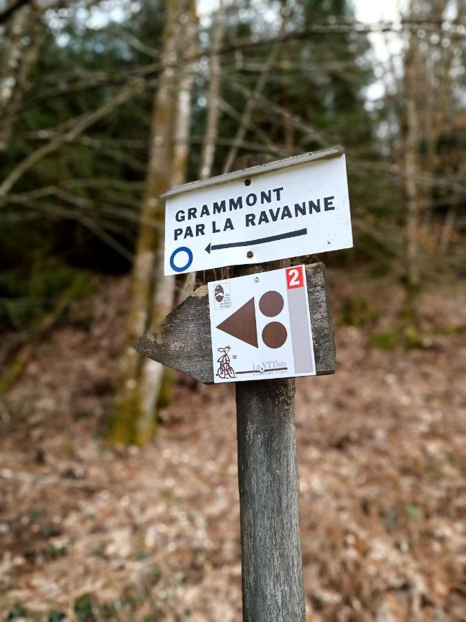 Gite De La Ravanne Ramonchamp Zewnętrze zdjęcie
